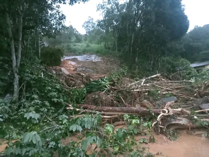 Hujan Deras, Tebing Longsor Tutupi Jalinsum di Hutabalang Tapanuli Tengah