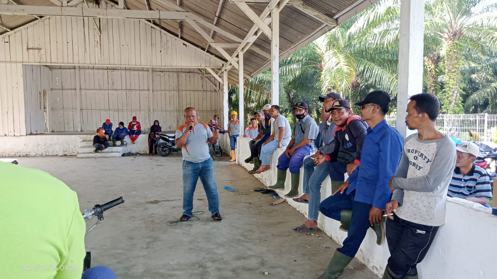 Adakan Aksi Damai Ratusan Karyawan PT. Socfindo Kebun Matapao Mogok Kerja 