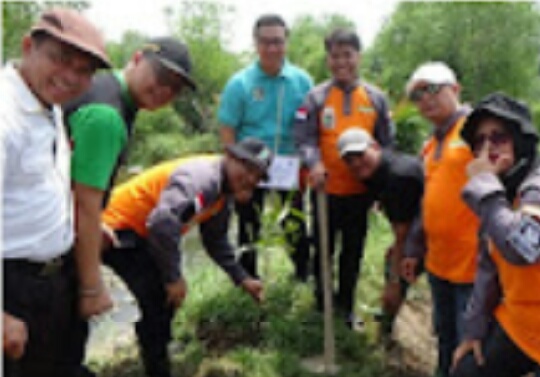 Gubsu Hadiri Penanaman Mangrove Di Pesisir Siombak.