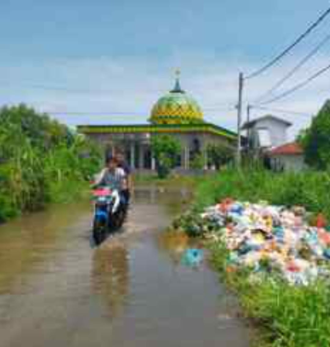 Tumpukan Sampah Meresahkan Warga Griya Martubung