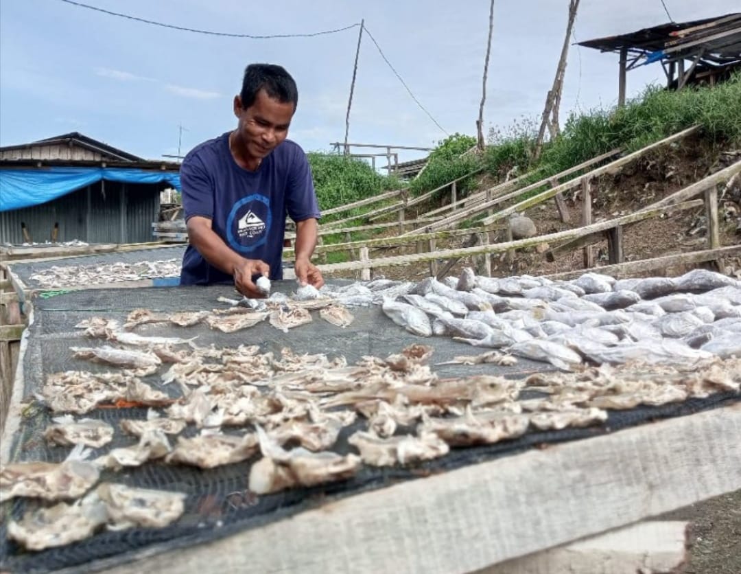 Harga Garam Meroket, Pengrajin Ikan Asin Terancam Gulung Tikar