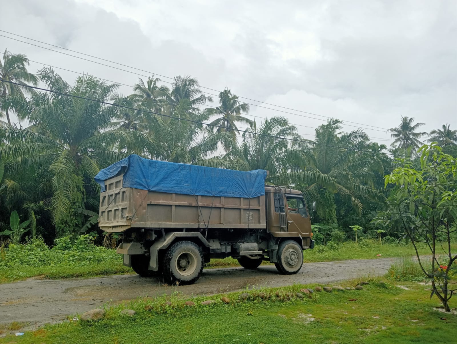 Truk Fuso Diduga Melebihi Tonase Masyarakat Desa Bogak Besar Keluhkan Jalan Semakin Rusak