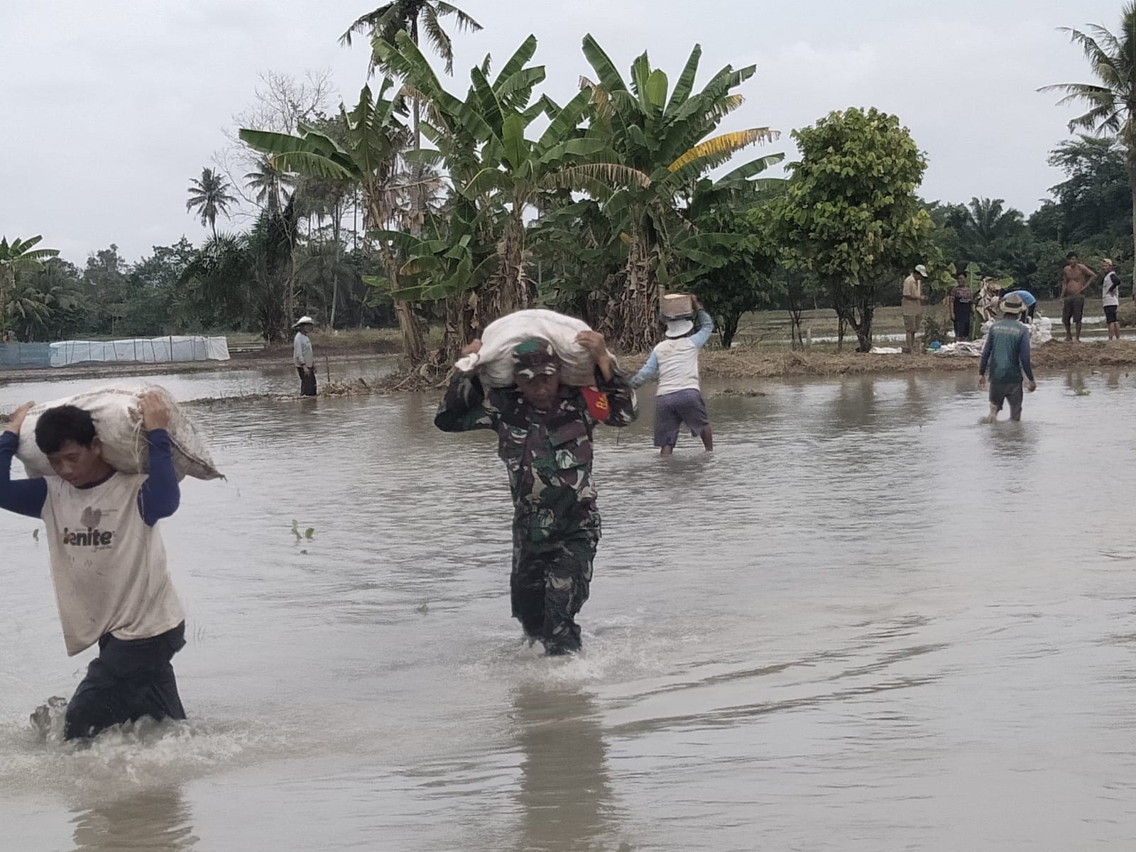 Babinsa Koramil 10/Sei Rampah Gotong Royong Bersama Pemdes Dan Warga Di Sei Bamban