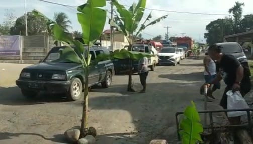 Kesal Jalan Tak di Perbaiki, Warga Deli Serdang Tanam Pohon Pisang di Jalan Lintas Pancur Batu – Kabanjahe