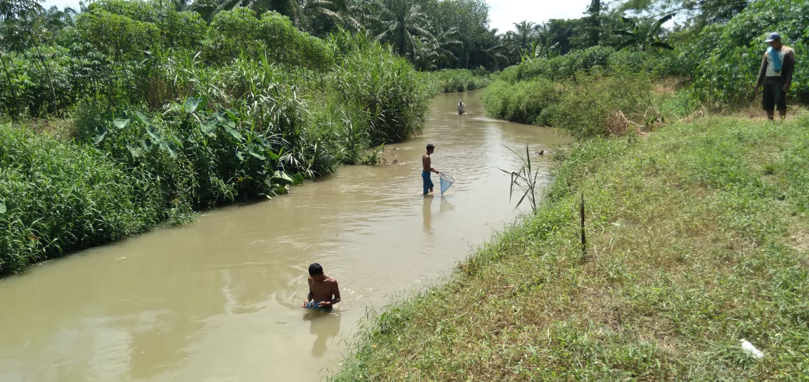 Diduga Sungai Tercemar Limbah, Warga Kampung Pulo Sergai Heboh Ribuan Ikan Mati