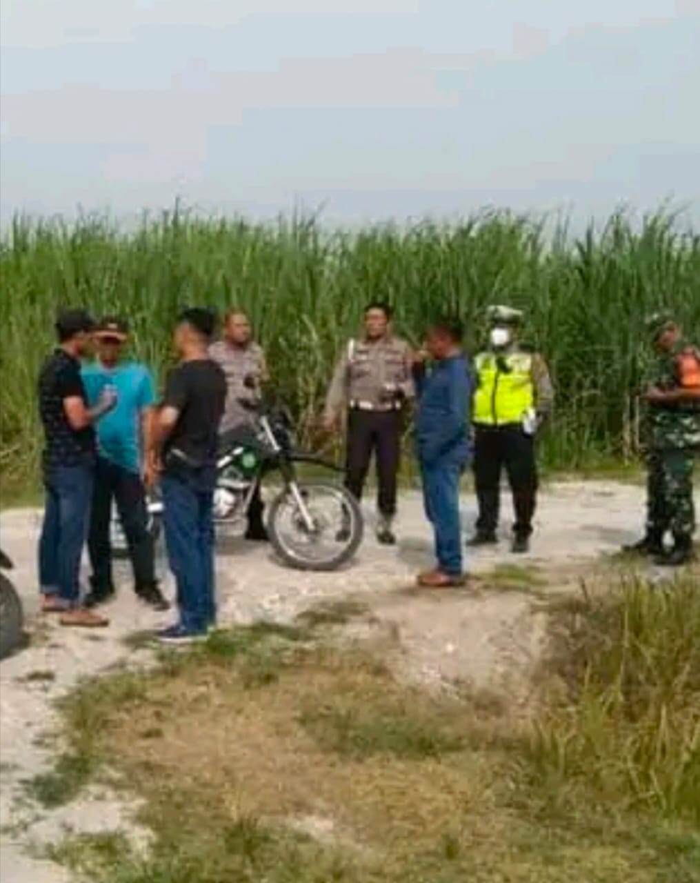 Polsek Hamparan  Perak Sisir Lokasi Tempat Latihan Geng Motor Di Kebun Tebu