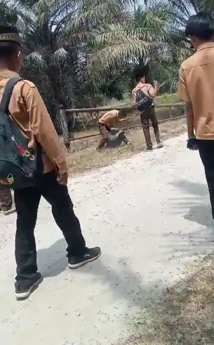 Video Perkelahian Siswa SMP di Sergai, Kakek Korban: Biar Proses Hukum Yang Berjalan