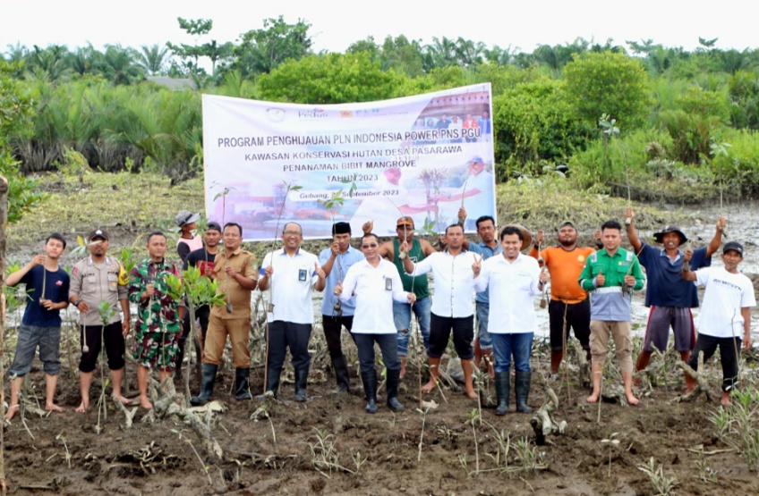 Peduli Lingkungan, PLTU Indonesia Power Pangkalan Susu Tanam 3000 Mangrove bersama LPHD Desa Pasar Rawa