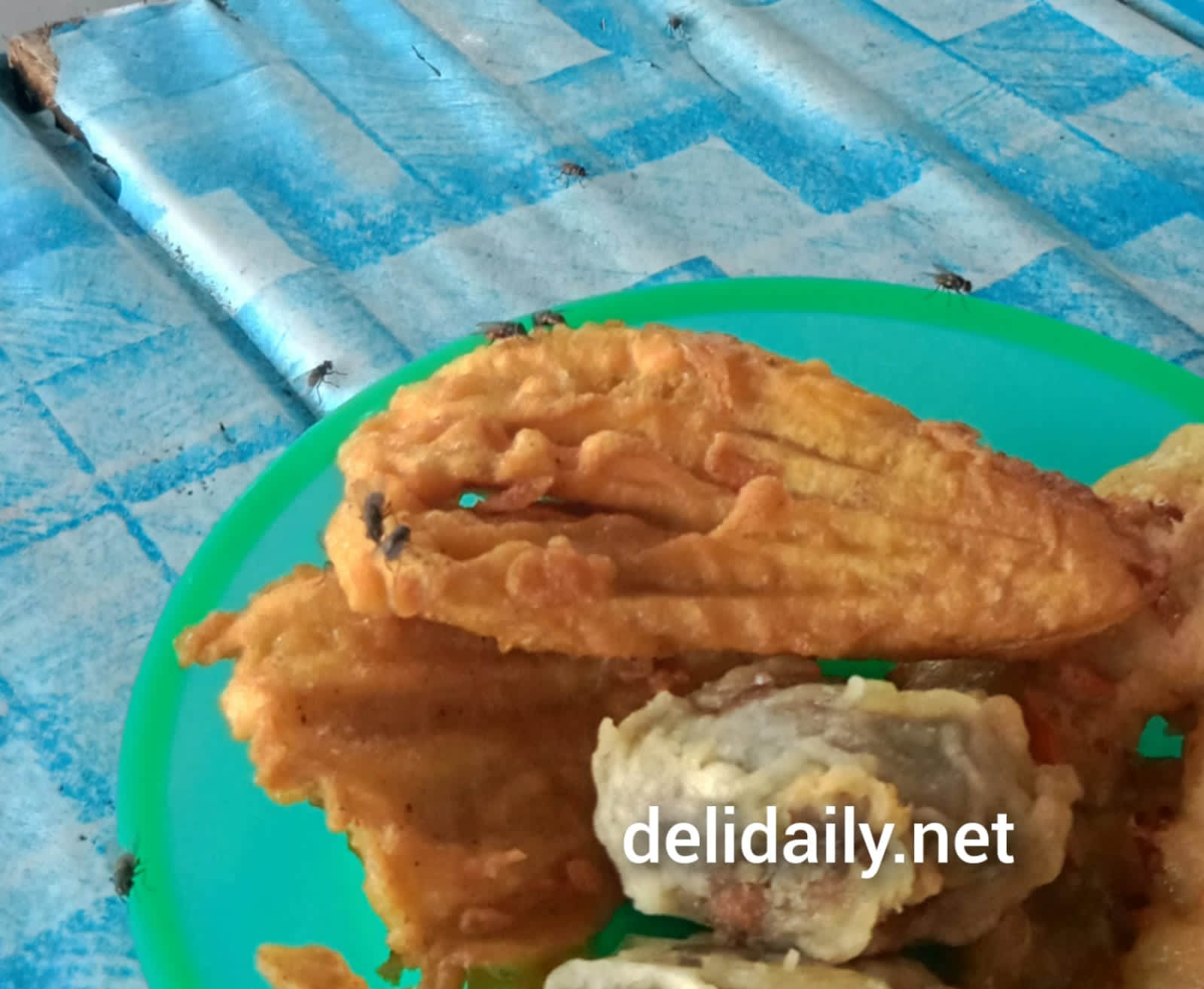 Warga Desa Pematang Guntung dan Sialang Buah Resah Ribuan Lalat Masuk Kerumah