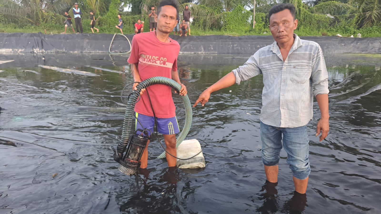 Sosok Mayat Pria Ditemukan di Kolam Tambak Udang