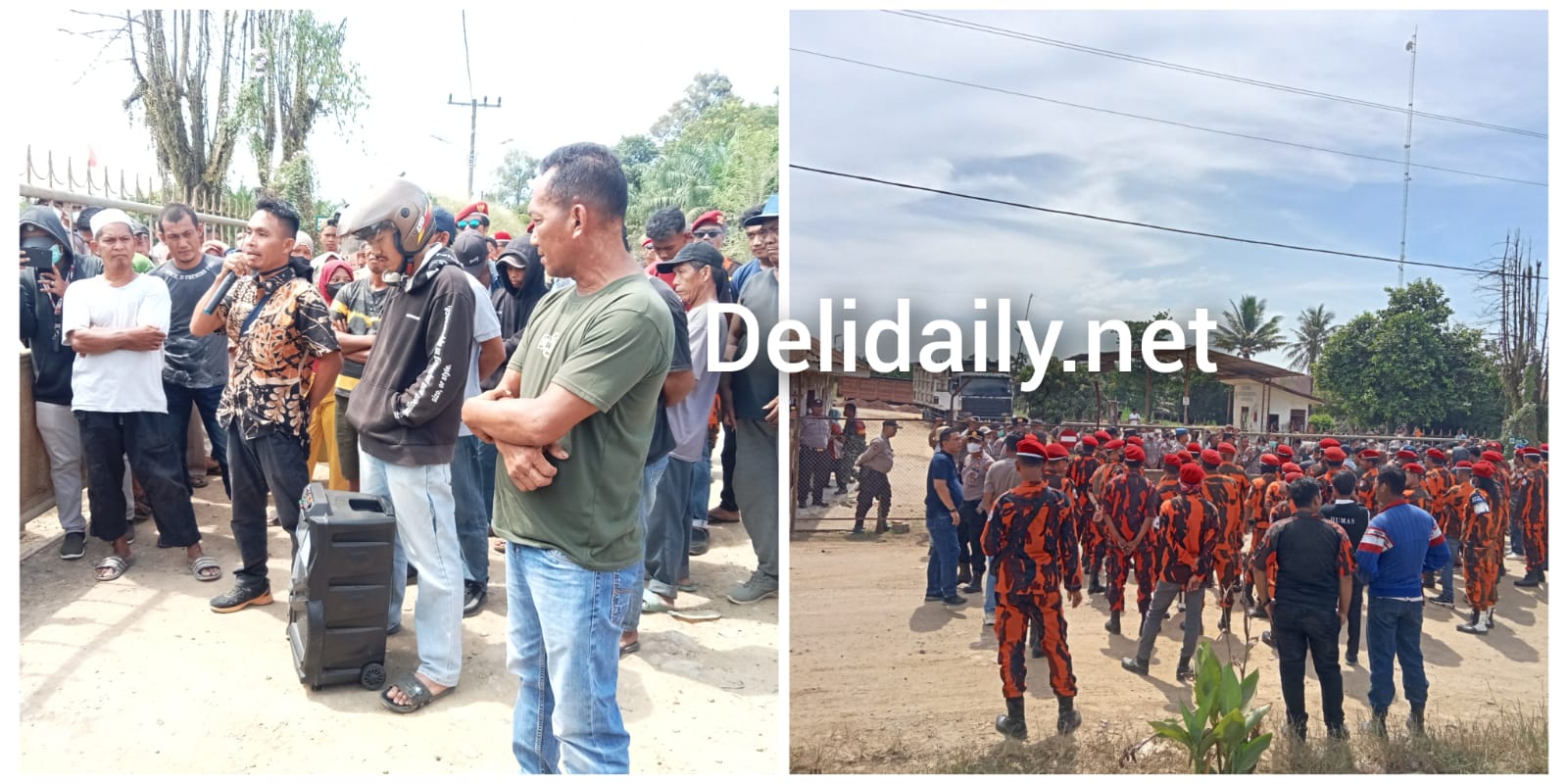 Peternak Desa Sinah Kasih sekitarnya Geruduk Kantor Perkebunan PT Soeloeng Laoet