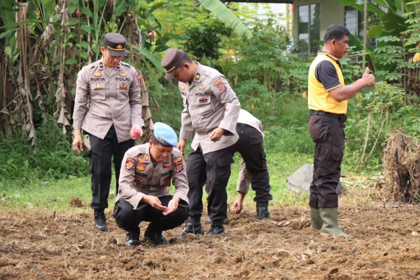 Kapolres Binjai Manfaatkan Pekarangan Kosong Tabur Bibit Unggul Jagung