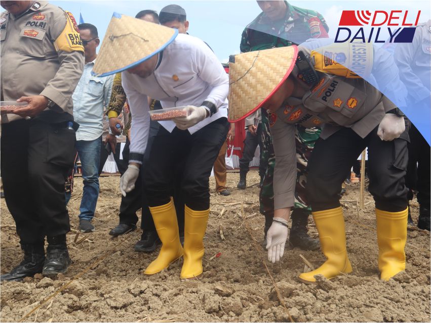 Kapolresta Deli Serdang Bersama Forkopimda Deli Serdang melaksanakan Penanaman jagung Serentak Seluruh Indonesia