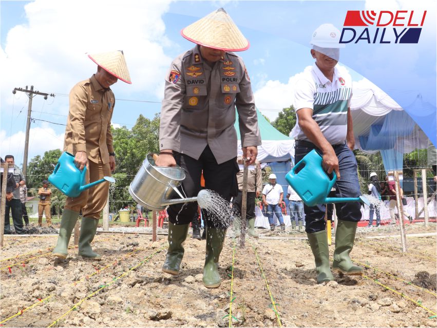 Taman Jagung Serentak 1 Juta Hektar: Wujud Nyata Program Ketahanan Pangan