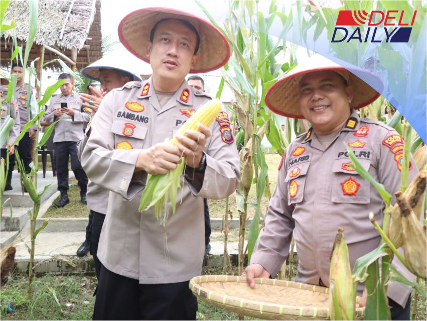 Polres Binjai Panen Jagung di Lahan Kosong Sendiri