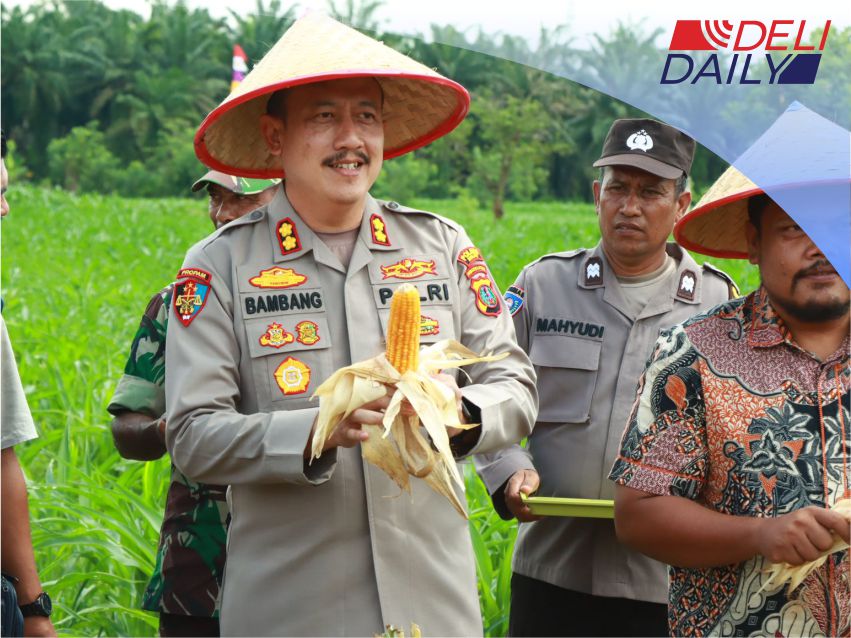 Swasembada Pangan Kapolres Binjai Panen Raya Kuartal II di Desa Padang Cermin