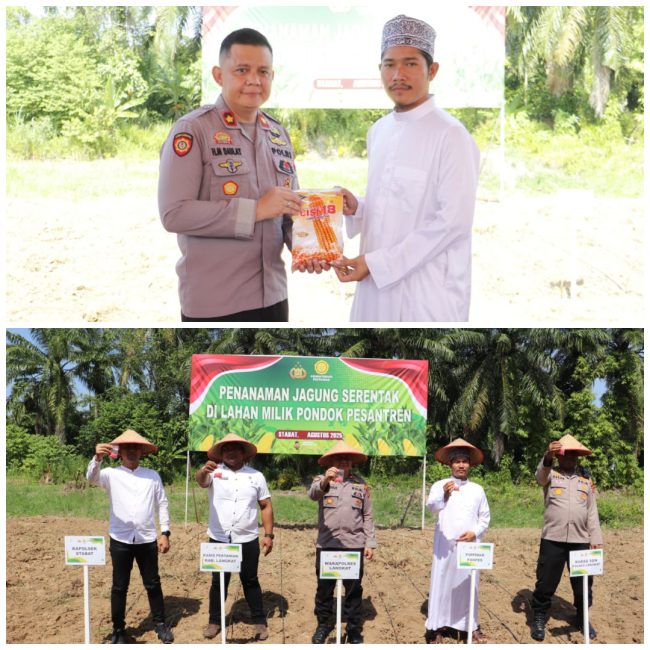 Polres Langkat Berkolaborasi dengan Ponpes Bustanul Ulum Tanam Jagung untuk Ketahanan Pangan