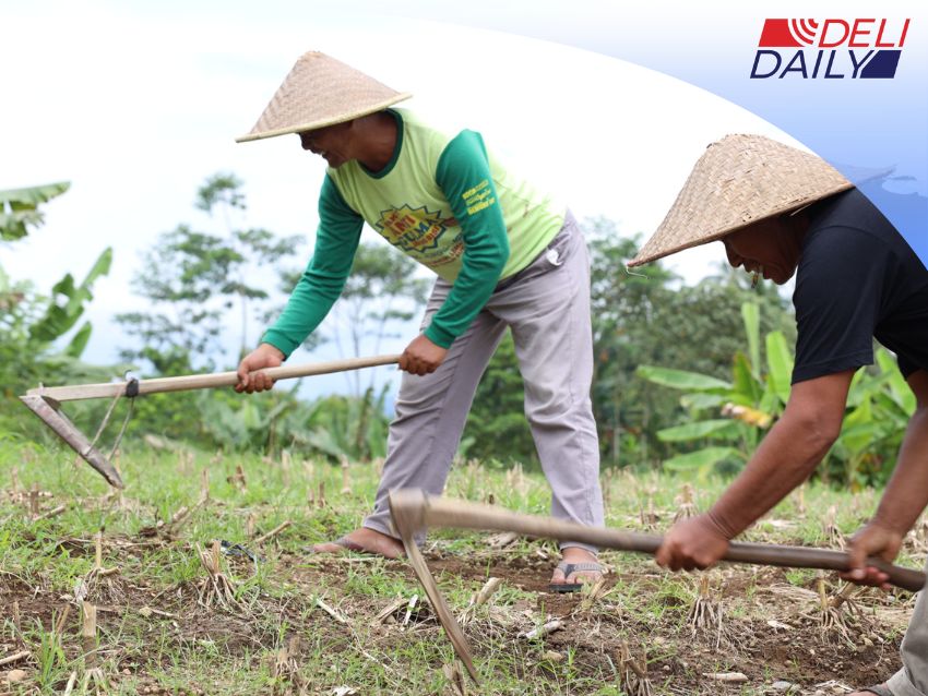 Konflik Belasan Tahun Berakhir, Sertipikat Redistribusi Tanah Buka Jalan Pemulihan Ekonomi Desa Soso