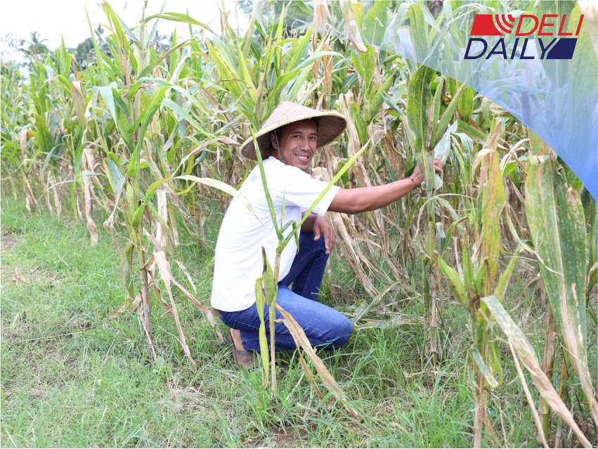 Reforma Agraria Lahirkan Regenerasi dan Kreativitas Petani Muda di Desa Soso