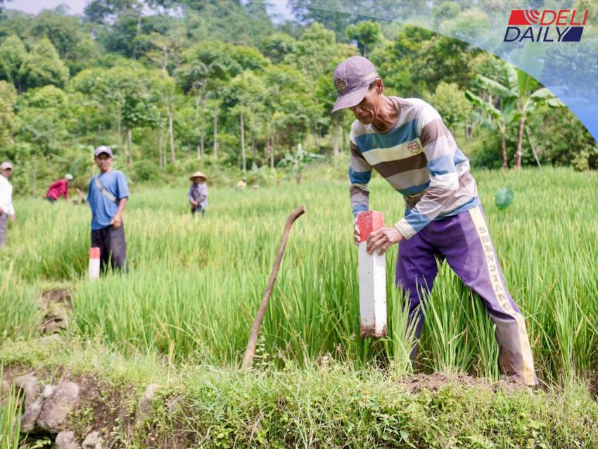 Cegah Konflik dan Aksi Caplok Lahan, Menteri ATR/BPN Nusron Wahid Imbau Warga Pasang Patok