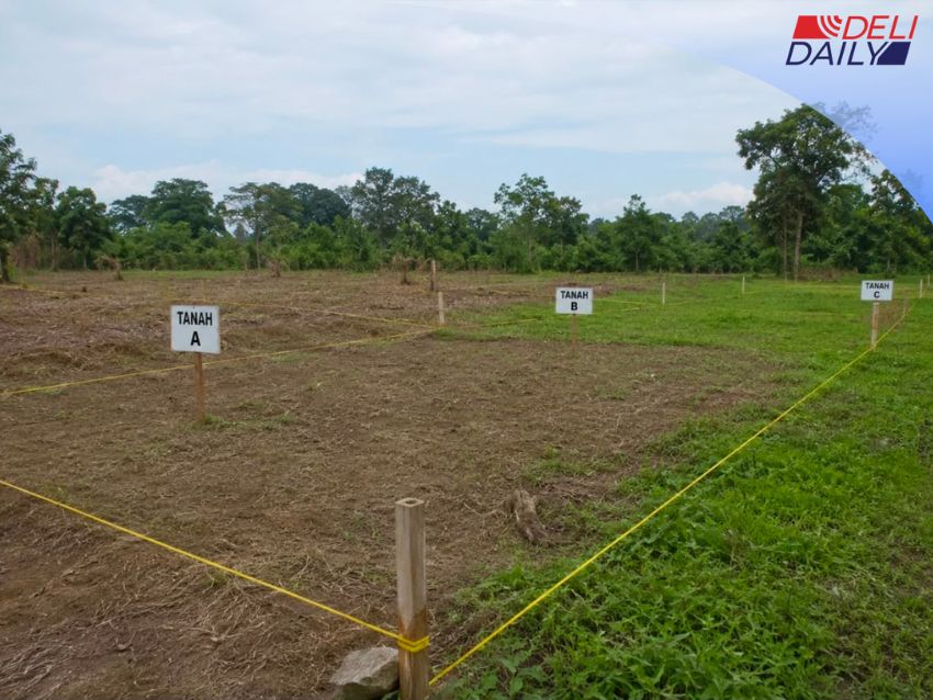 Kenali Layanan Pemisahan Bidang Tanah: Cara Aman Jual Sebagian Lahan Tanpa Hapus Sertipikat Induk