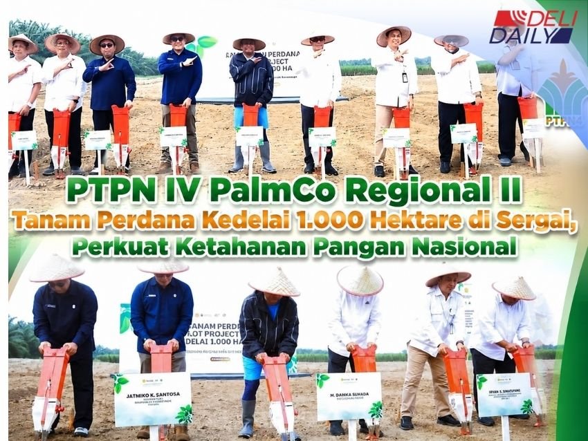 PTPN IV Regional II Gandeng Pemkab Sergai dan Pakar Pertanian Realisasikan Pilot Project Kedelai 1.000 Ha