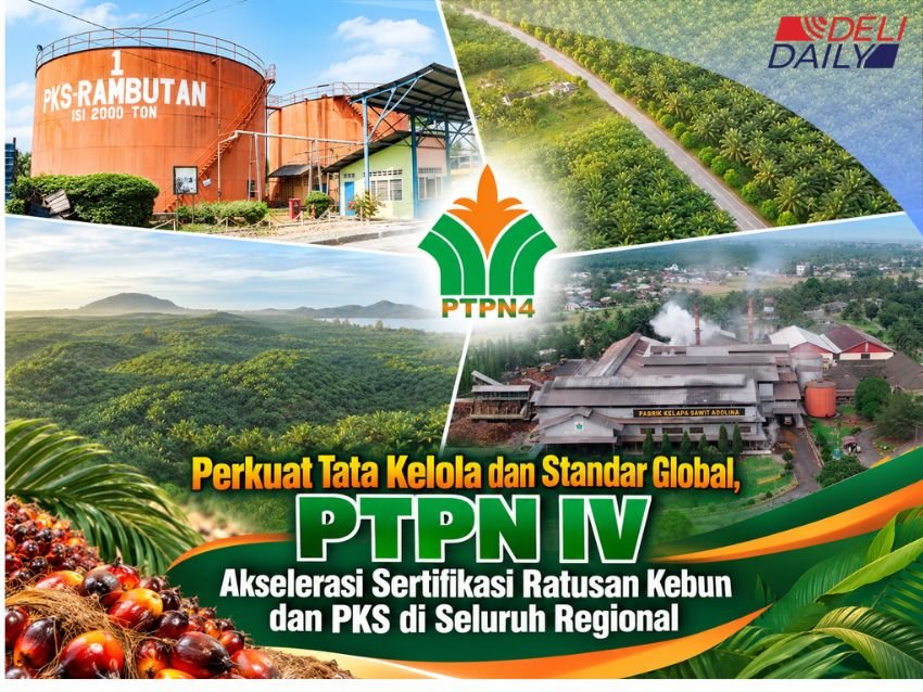 PTPN IV PalmCo Perkuat Standar Global, Ratusan Unit dan Kebun Didorong Capai Sertifikasi