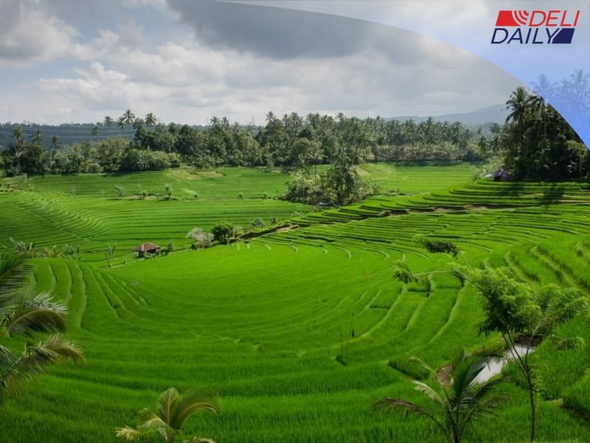 Capaian LP2B Capai 87,63 Persen, Menteri Nusron Wahid Minta Pemda Percepat Integrasi RTR