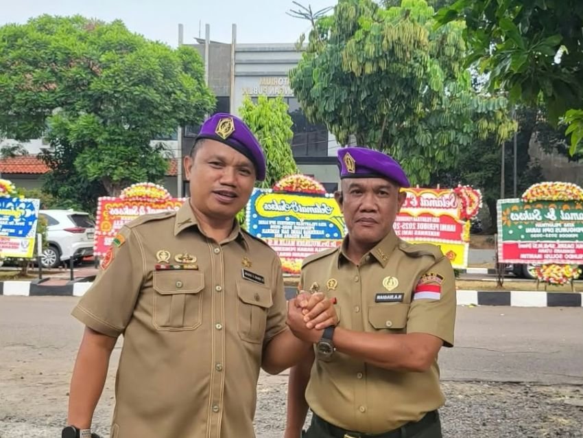 DPN IARMI
