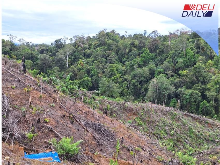 Terobosan Reforma Agraria: Mekanisme Pemulihan Hak Jadi Solusi Konflik Tanah Tumpang Tindih Aset Negara